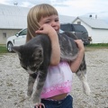 Addison Kitties2